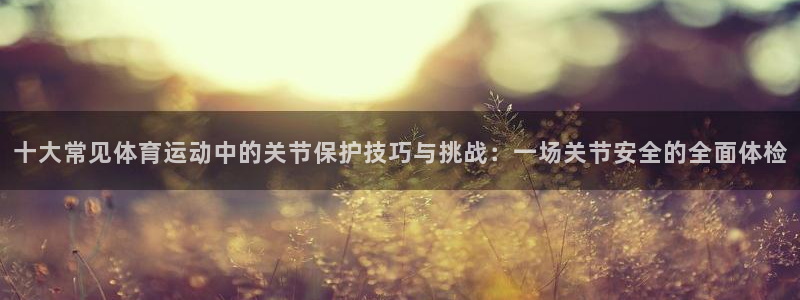 十大常见体育运动中的关节保护技巧与挑战：一场关节安全的全面体检