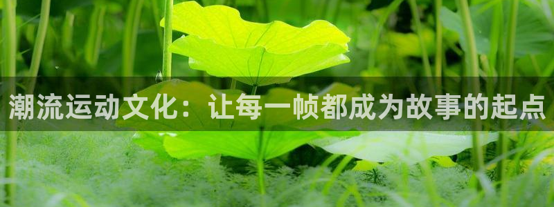 潮流运动文化：让每一帧都成为故事的起点
