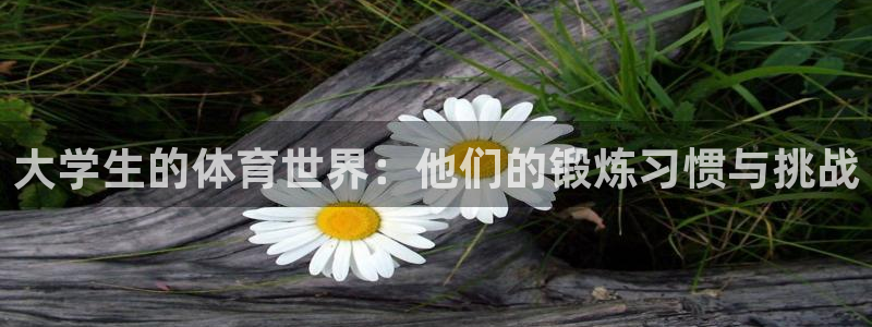 大学生的体育世界：他们的锻炼习惯与挑战