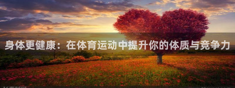 身体更健康：在体育运动中提升你的体质与竞争力