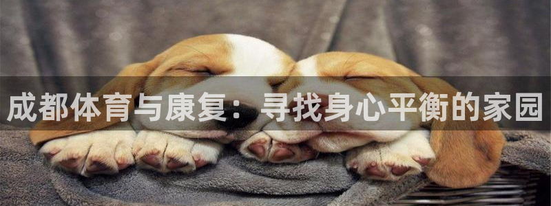 成都体育与康复：寻找身心平衡的家园