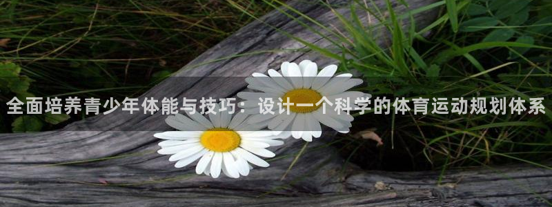 全面培养青少年体能与技巧：设计一个科学的体育运动规划体系