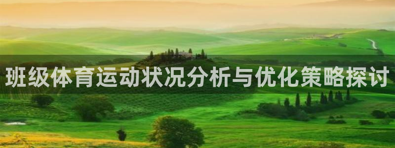 班级体育运动状况分析与优化策略探讨