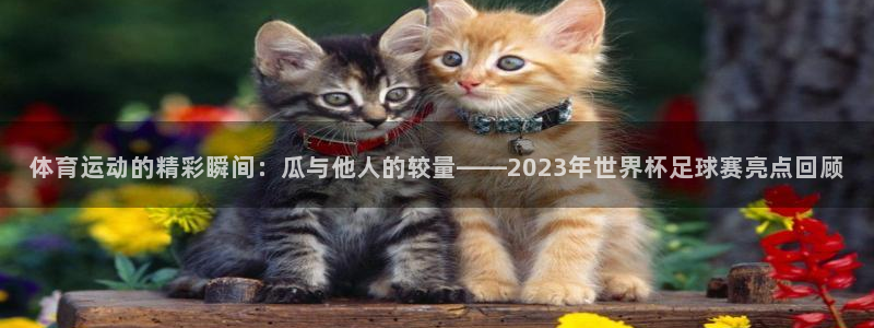 体育运动的精彩瞬间：瓜与他人的较量——2023年世界杯足球赛亮点回顾