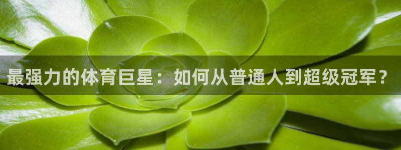 最强力的体育巨星：如何从普通人到超级冠军？