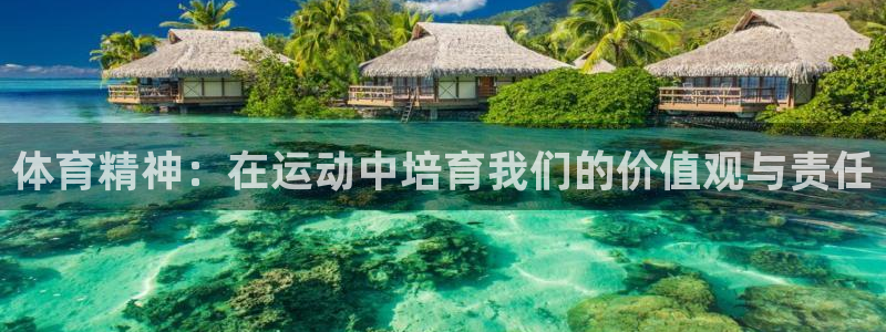 体育精神：在运动中培育我们的价值观与责任