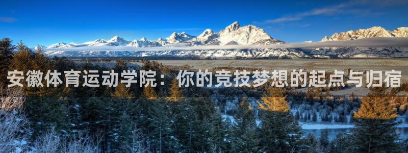 安徽体育运动学院：你的竞技梦想的起点与归宿
