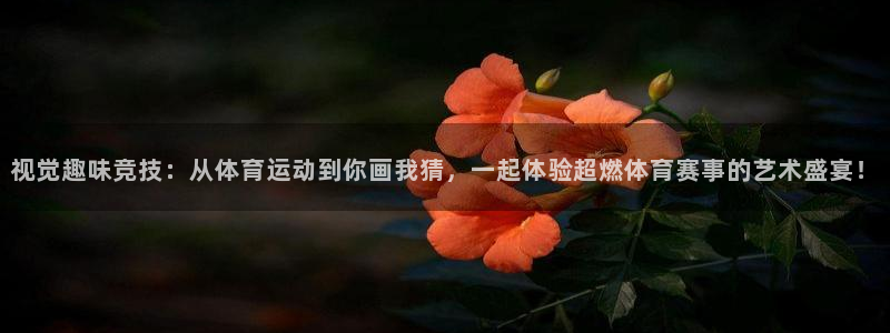 视觉趣味竞技：从体育运动到你画我猜，一起体验超燃体育赛事的艺术盛宴！