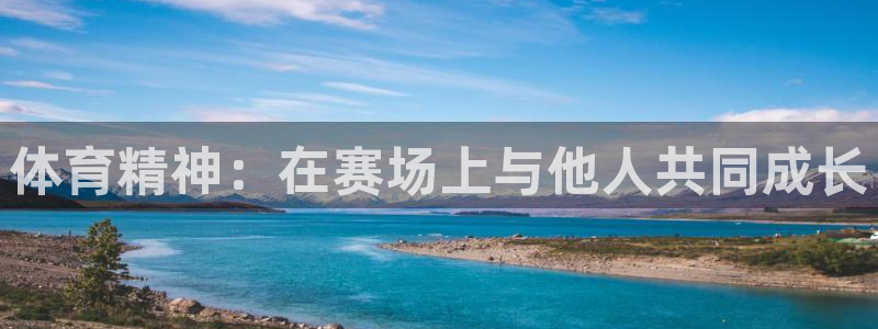 体育精神：在赛场上与他人共同成长