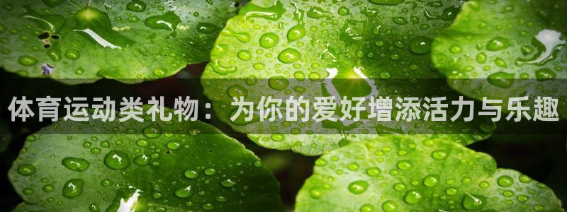 体育运动类礼物：为你的爱好增添活力与乐趣