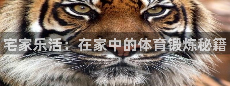 宅家乐活：在家中的体育锻炼秘籍